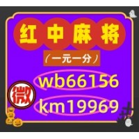 道道金光红中麻将跑得快一元一分《玩家必看》